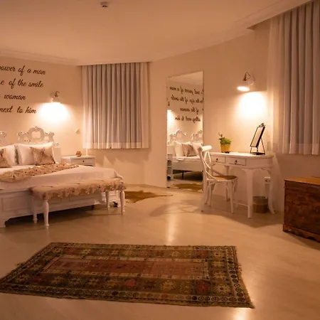 Teddy Hotel 3*