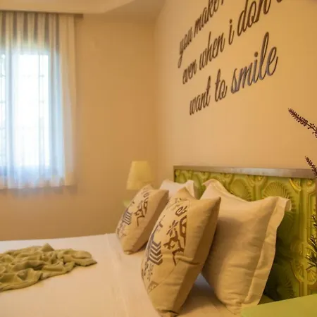 Hotel Teddy 3*