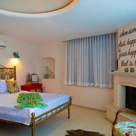 Teddy Hotel