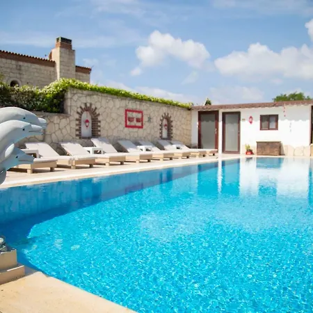 Teddy Hotel