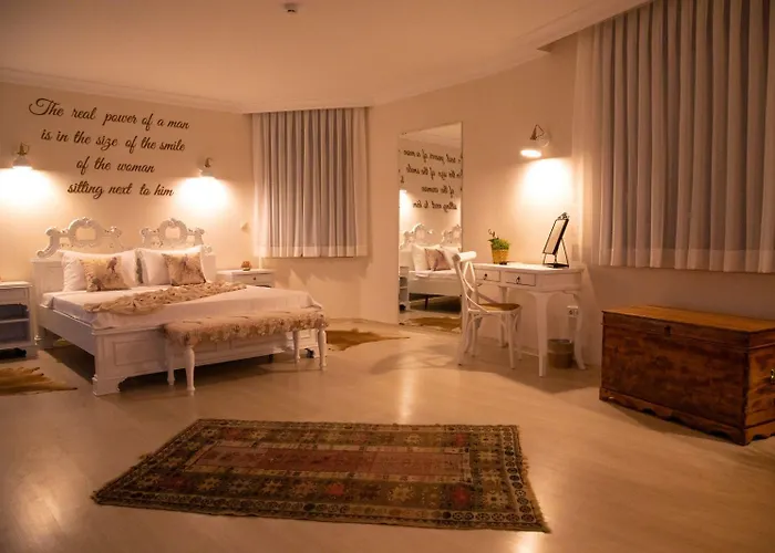 Teddy Hotel 3*