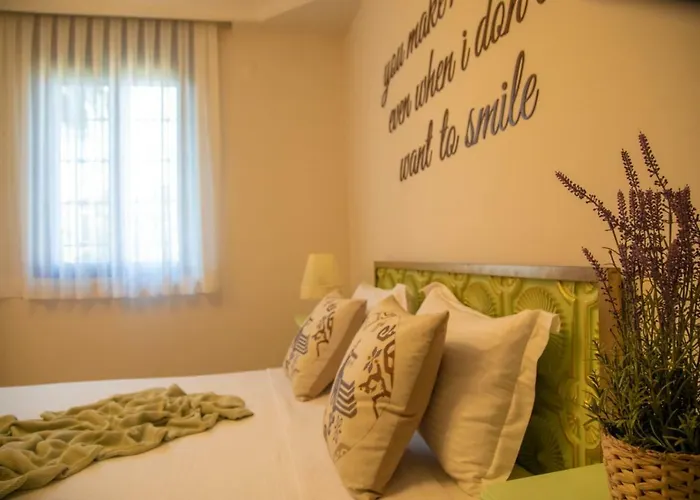 Hotel Teddy 3*