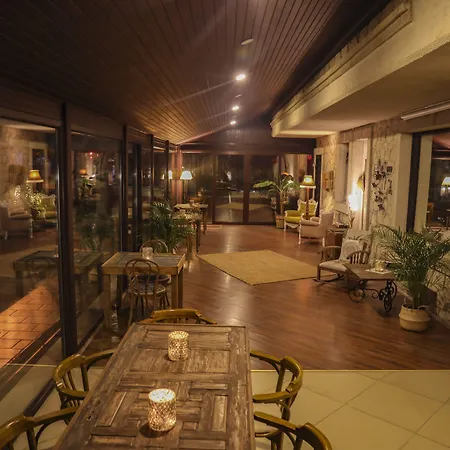 Teddy アラカティ