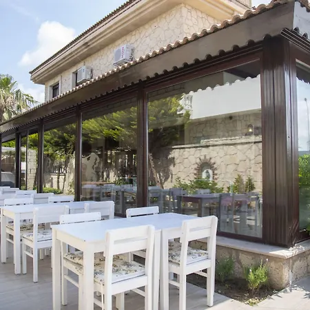 Teddy 3* アラカティ