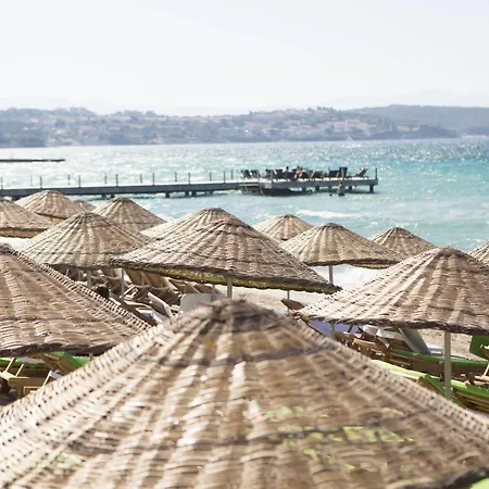 Teddy 3* アラカティ