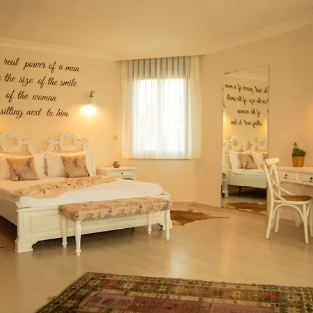 Teddy アラカティ